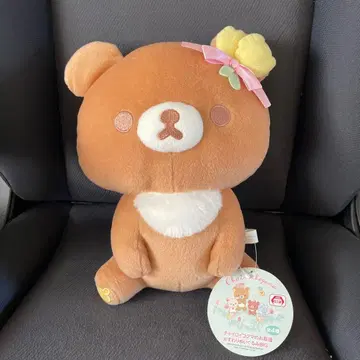 테디베어 chairoikoguma