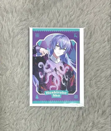 호시미치 쇼 스웨터 폴라로이드