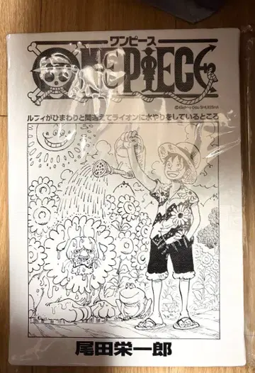 원피스 도비에 아트 보드