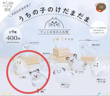 우리 아이 털뭉치 블랙 시바견 시바견 2개 세트