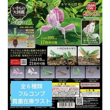 생물대도감 사마귀03 전 6종류 풀컴프 절판품 귀중 레어 포함