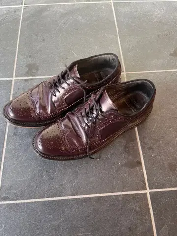 sears 가죽 신발 윙팁 버건디 8D