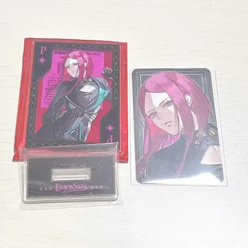 [브라스] 마이카 아크릴 스탠드 & 비주얼 포토 카드