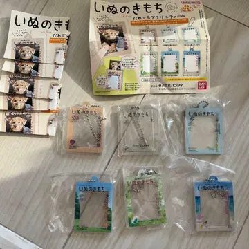 이누노키모치 누구나 아크릴 참 어른 강아지 곤란함 TOP5 컴플리트