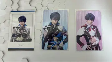 마호스테 시노 트레이딩 카드