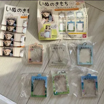 강아지의 마음 어른 강아지 고민 TOP5 컴플리트 아크릴 참