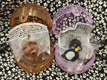 daisuke kondo 메지루시 액세서리 kuma pengin 세트