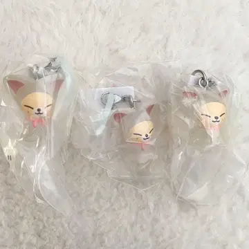 StrayKids 폭시니 메지루시 액세서리 3개 세트