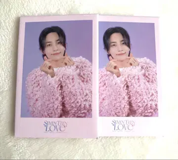SEVENTEEN 정한 LOVE 캔뱃지