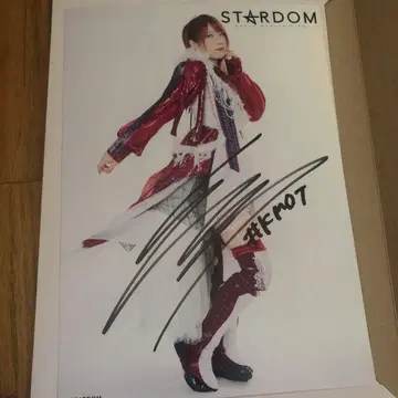 스타덤 친필 사인 포트레이트 카시마 사키 료고쿠 대회 여자 프로레슬링