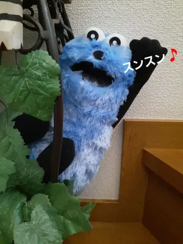 PUPPET SUNSUN 파랑 퍼펫