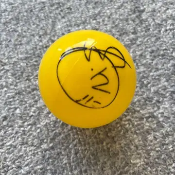 EXID 하니 사인볼