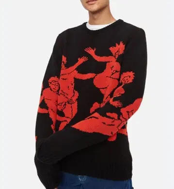 카르네 볼렌테 남성용 니트