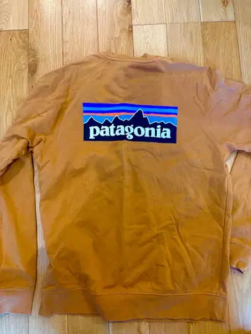 patagonia 남성용 맨투맨 트레이닝복 M