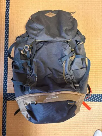 Quechua 데카트론 백팩 50L