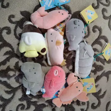 동글동글 눈 시리즈 봉제 인형 묶음 판매