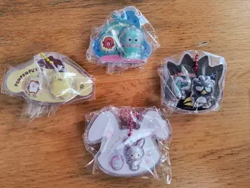 패키지 참 한교동 위시미멜 배드마츠마루 폼폼푸딩