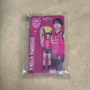 빅토리아 히메지 오시마 쿄카 미니 패키지풍 참