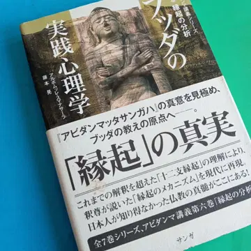 붓다의 실천 심리학 : 아비담마 강의 시리즈 제6권 (연기의 분석)