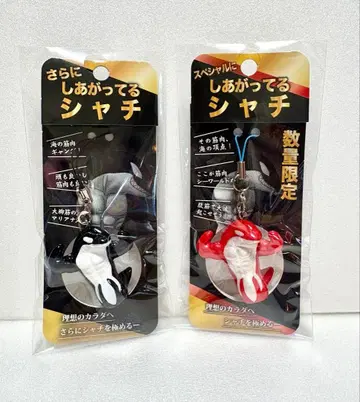 스마 시 월드 더욱 완성된 범고래