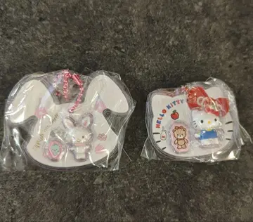 산리오 패키지 참 키티 위시미멜