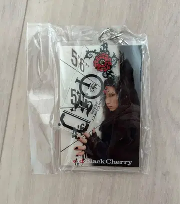 Acid Black Cherry 이중 키링 Q.E.D. ver.