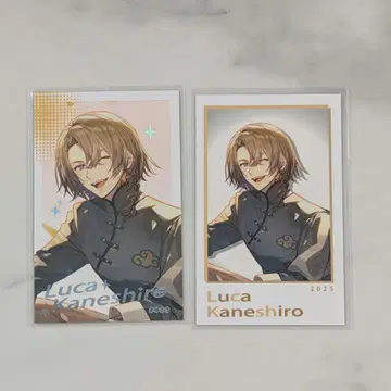 니지산지 SitR 상하이 루카 폴라로이드 노멀 레어