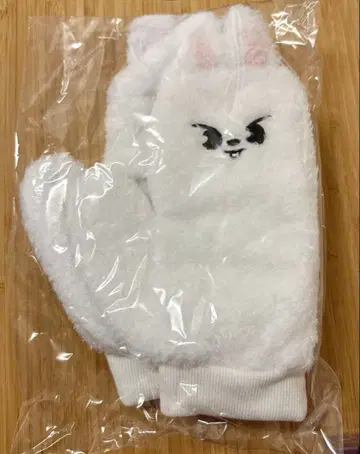 [ 새상품 미개봉 ] 스키즈 월츠 dominATE 장갑 Leebit