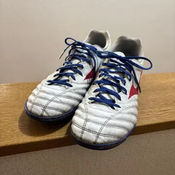 미즈노 모나르시다 NEO 트레이닝 슈즈