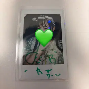 iLiFE! 와카바노아 토부 동물공원 폴라로이드 화이트 타이거