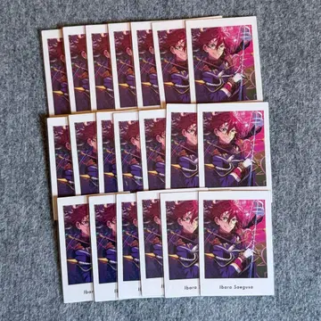 앙스타 파샤츠 vol.6 action 이바라