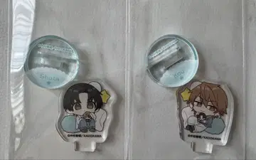 순정 로맨티카 & 세계 제일의 첫사랑 츄아스타 모음 판매