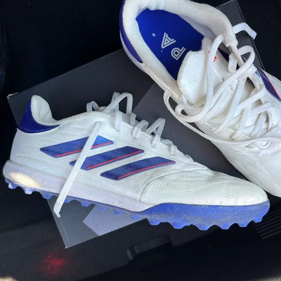 TLSS Striker 711 TF (255mm) #TLSS스트라이커,#스트라이커TF,#TLSS