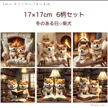 접수 겨울 어느 날 시바견