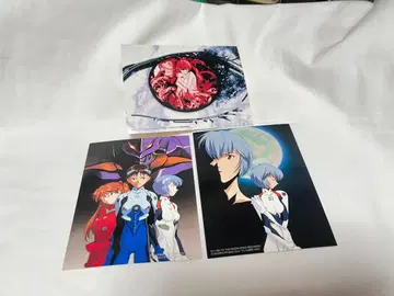 익명 배송 / 에반게리온 엽서 당시 물품