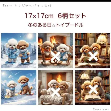 접수 겨울 어느 날 토이 푸들