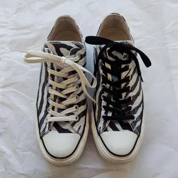 컨버스 올스타 제브라 27cm