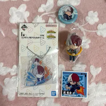 나의 히어로 아카데미아 토도로키 쇼토 4세트