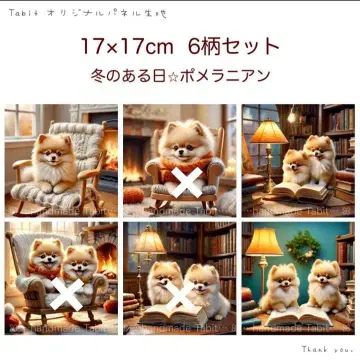 접수 겨울 어느 날 포메라니안