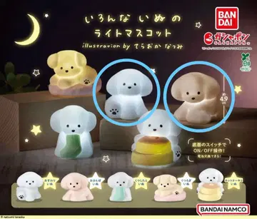 여러가지 강아지 라이트 마스코트 2개 테라오카 나츠미 강아지