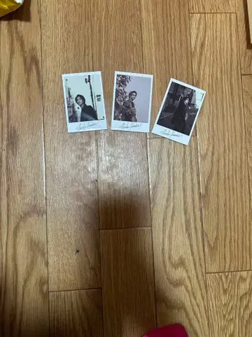 요코하마 류세이 폴라로이드