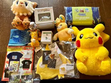 피카피카 박스 2026 금의 코이킹