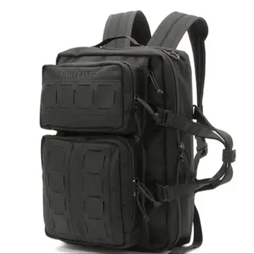 브리핑 프로그레시브 트리니티 라이너