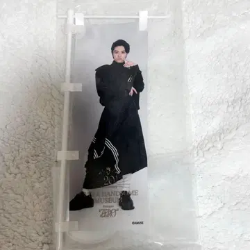 신하라 타이스케 러그