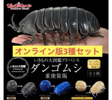 [온라인판] 생물대도감 어드밴스 공벌레 중채색판 3종 세트