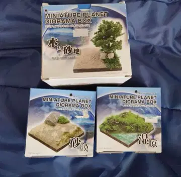 미니어처 플래닛 디오라마 박스 세트 [ 사막 습지 나무와 모래땅 ]