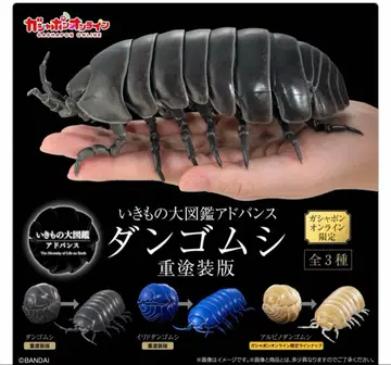 [온라인판] 생물대도감 어드밴스 쥐엄지벌레 중페인팅판 3종 세트