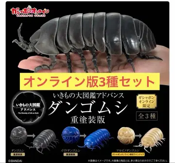 [온라인판] 생물대도감 어드밴스 쥐엄지벌레 중페인팅판 3종 세트
