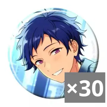 앙스타 후시미 유즈루 피처 2 캔뱃지 casual 30개