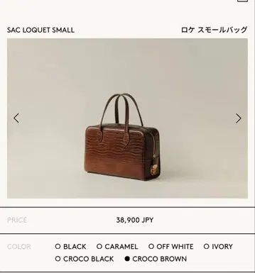 tout y est 로케 스몰 백